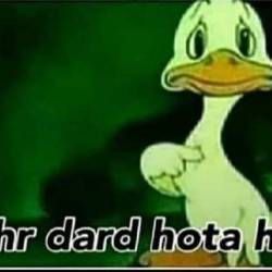 Datting India