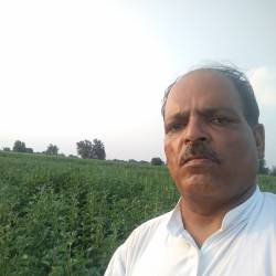 Datting India